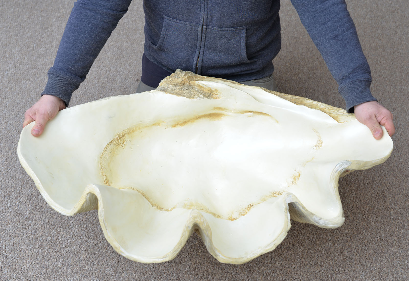 giant clam shell resin